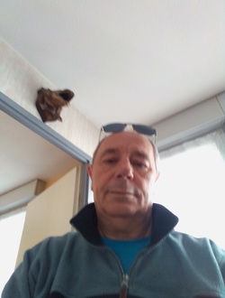 profile picture 0