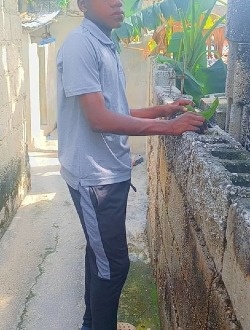 profile picture 0