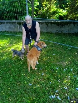 Profil de Nino, un homme célibataire de 64 ans à Marseille