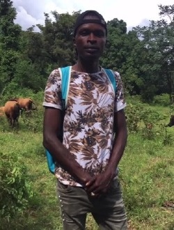 Profil de Aisisy Innova, un homme célibataire de 33 ans à Conakry