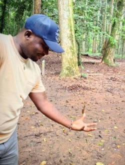 Profil de Vianey, un homme célibataire de 32 ans à Libreville