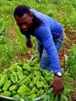 Profil de Vinny, un homme célibataire de 49 ans à Pointe-Noire