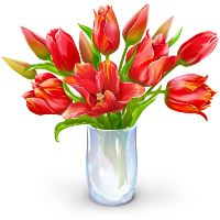 Bouquet de fleurs